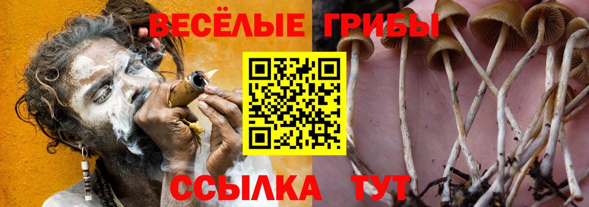 Удомля  Псилоцибиновые грибы мицелий  Вход с VPN  Галлюциногенные грибы мицелий 